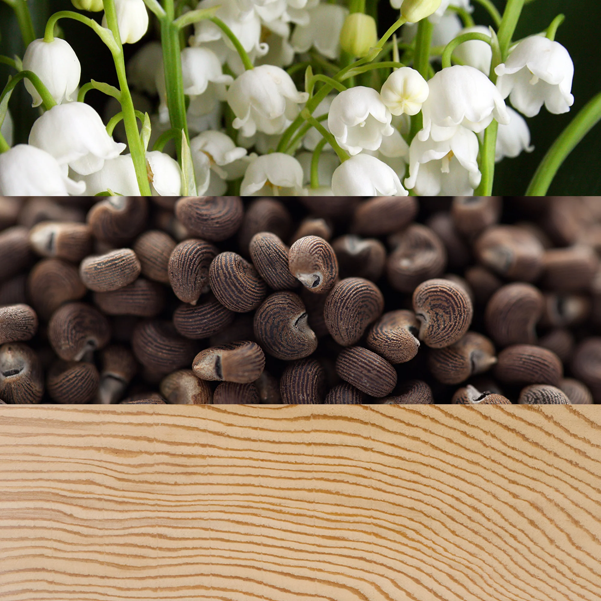 Calvin Klein Beauty Eau de Parfum 100ml - Image 3