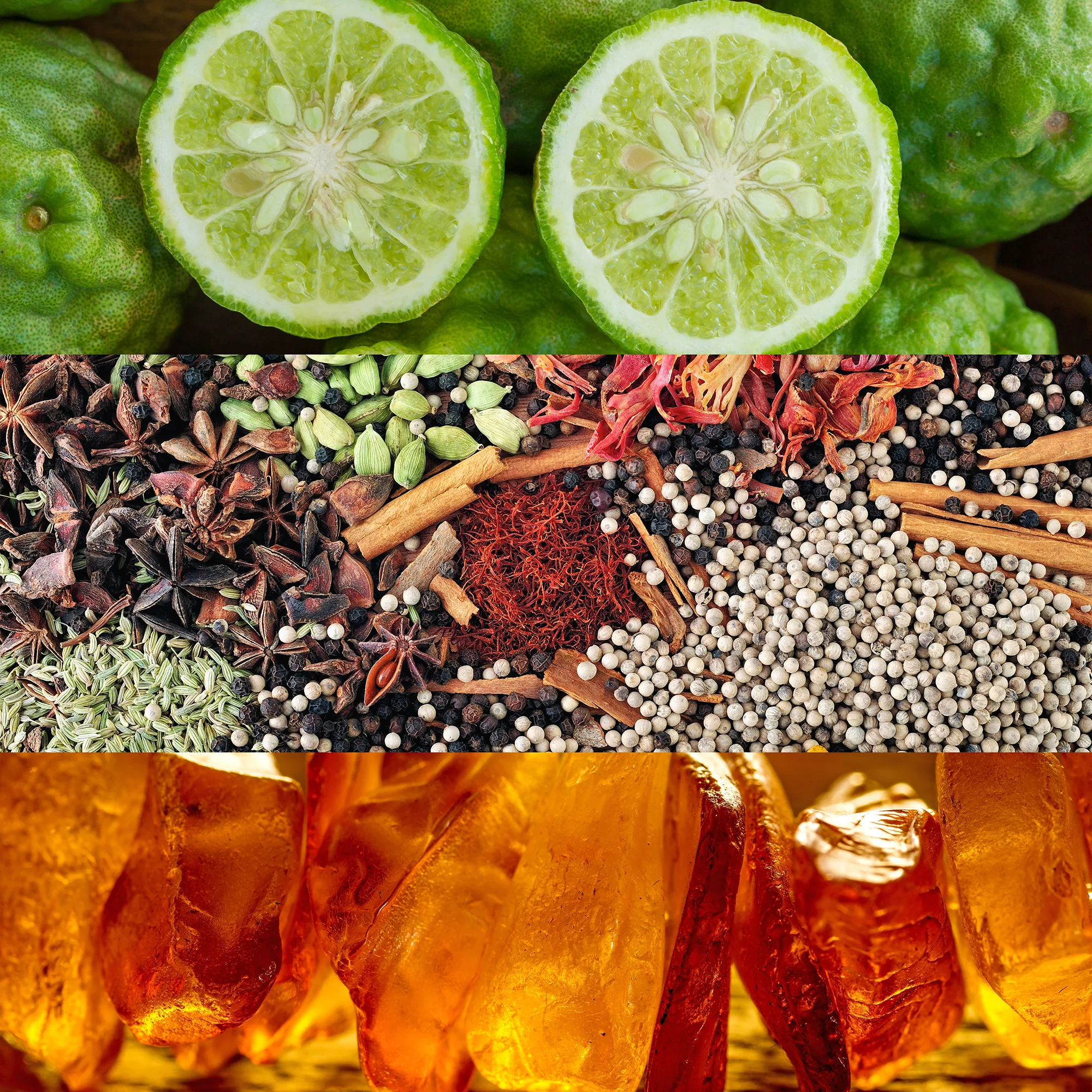 Calvin Klein Obsession for Women Eau de Parfum 50ml - Image 3